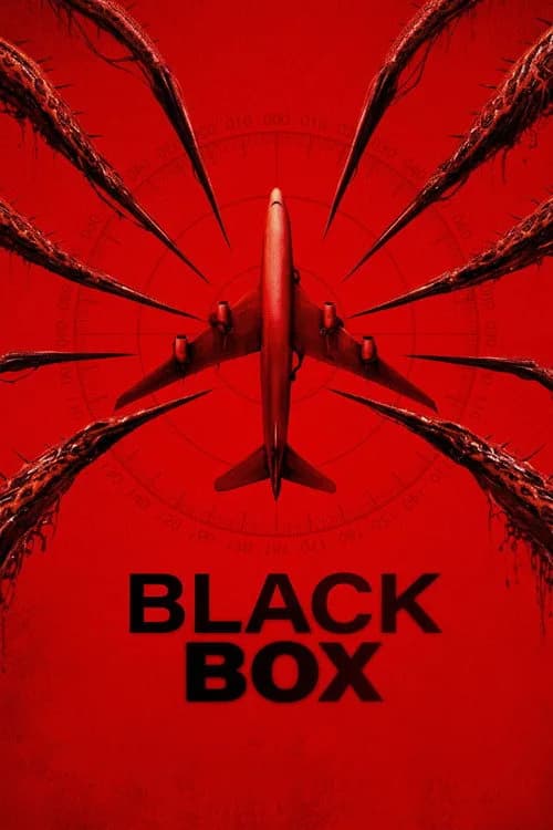 Black Box (Flight 298) poster