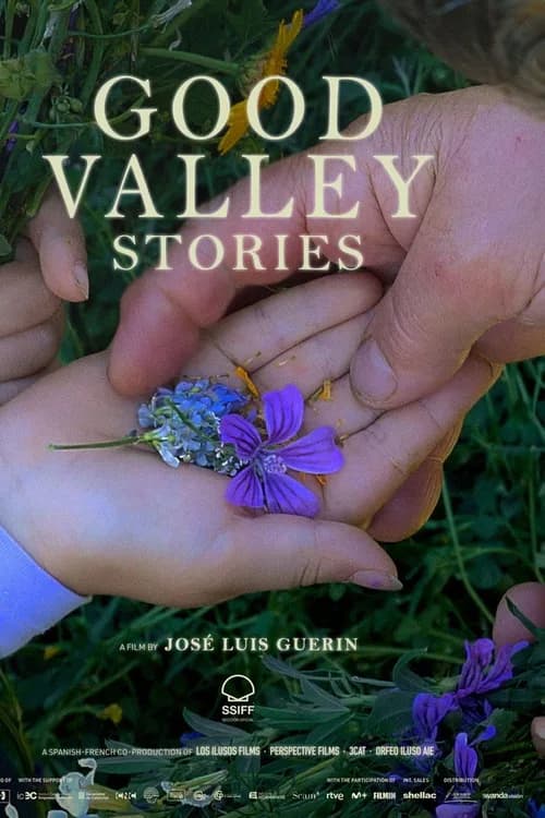 Good Valley Stories poster