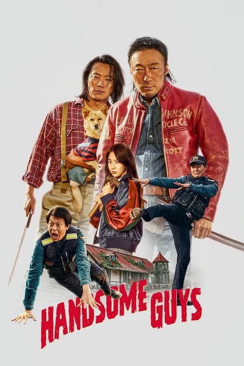 Handsome Guys poster