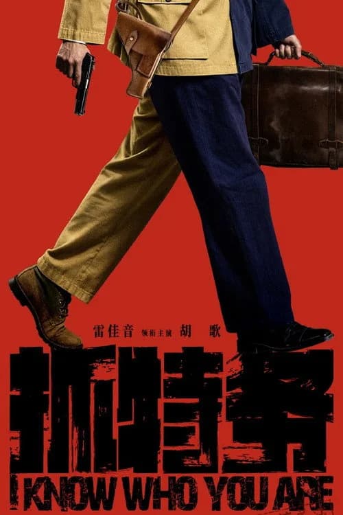I Know Who You Are poster