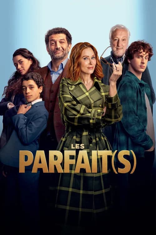 Les Parfait(s) : Arnaques en Famille poster