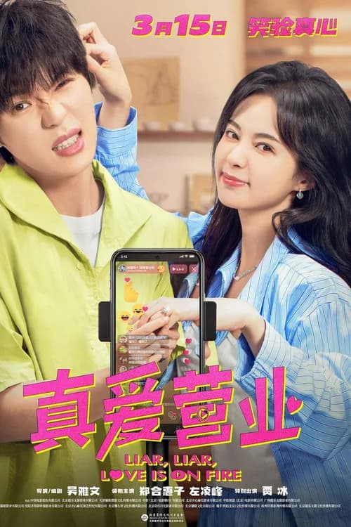 Liar, Liar, Love is on Fire poster