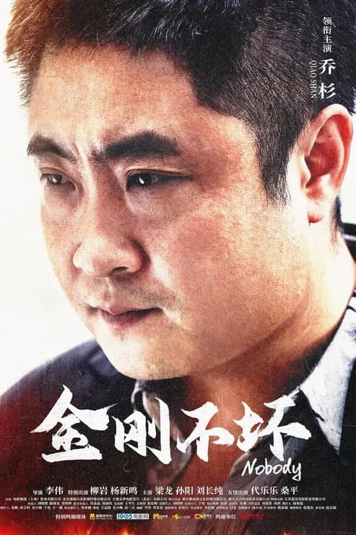 Nobody poster