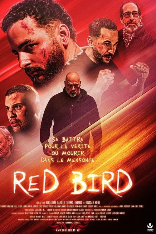 Red Bird poster