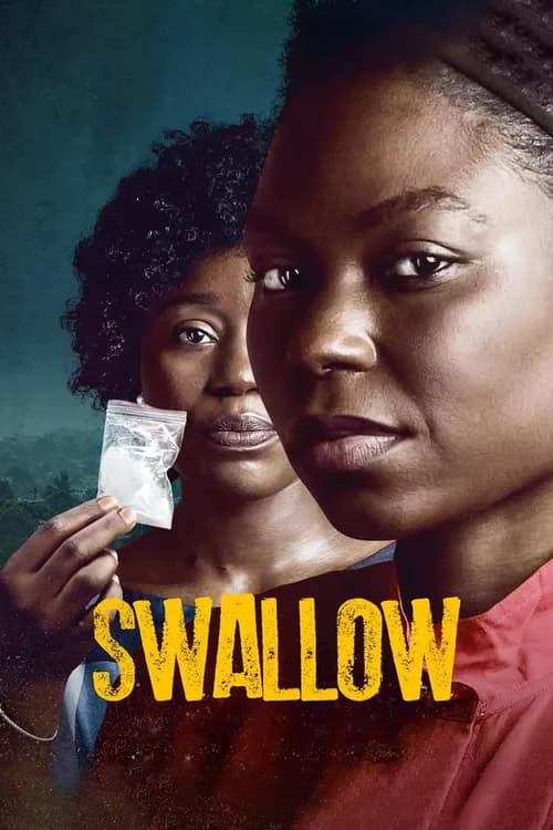 Swallow poster